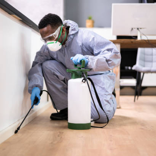 Image enfant